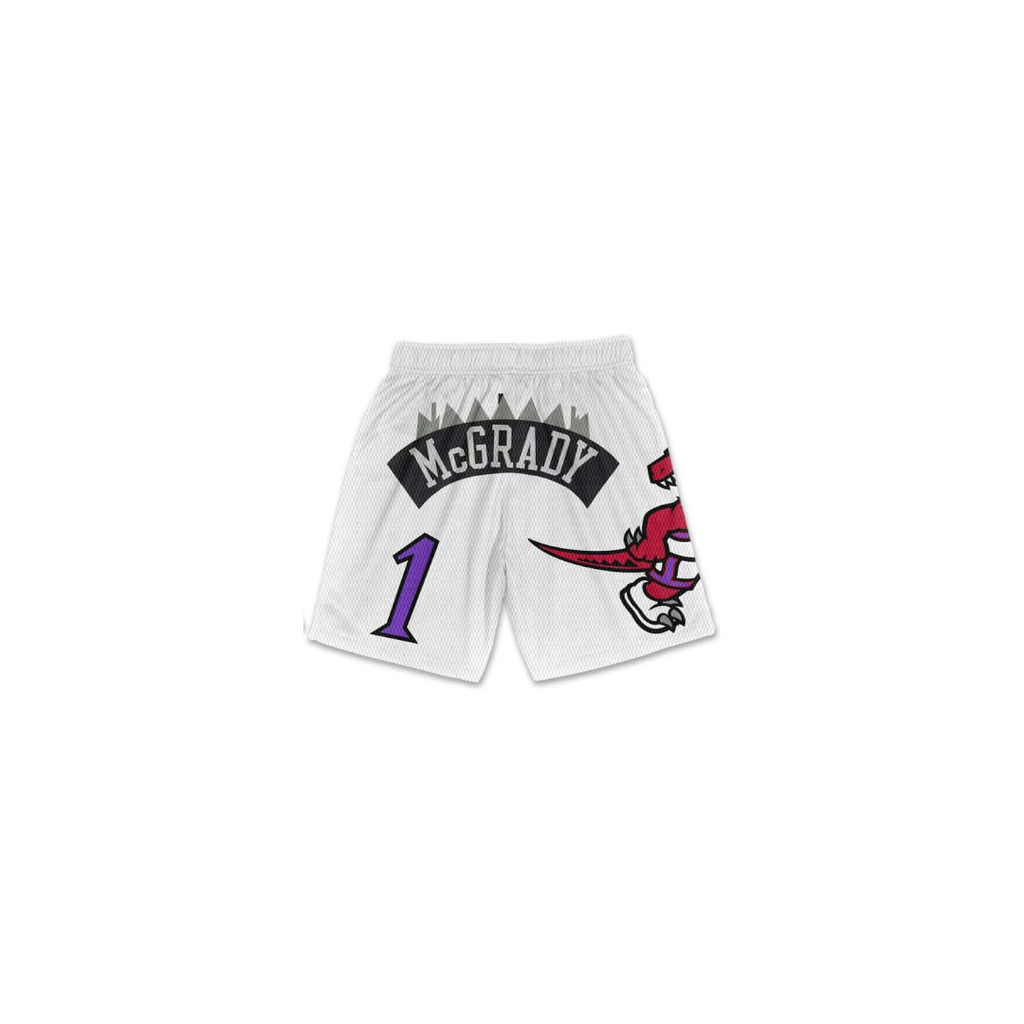 Raptors Mcgrady- White